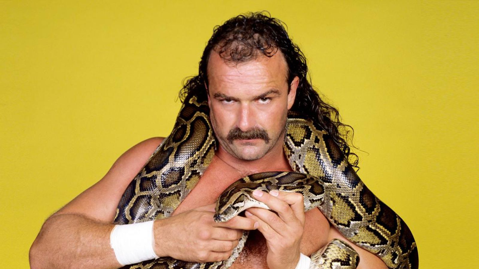 Where is Jake Roberts today? Net Worth, Death, Siblings, Parents